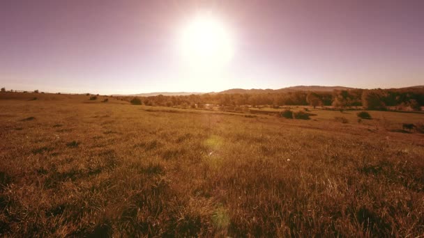 4K UHD mountain meadow timelapse at the summer. Clouds, trees, green grass and sun rays movement. — Stock Video