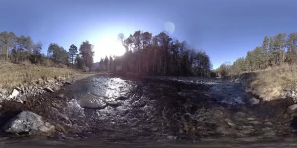 360 VR virtuális valóság egy vad hegyek, fenyvesek és folyók áramlását. Nemzeti park, rét és napsugarak. — Stock videók