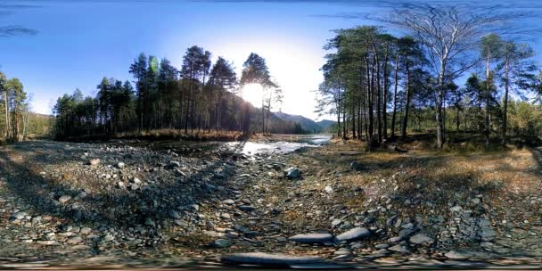 360 VR virtuelle Realität eines wilden Gebirges, Kiefernwaldes und Flusses fließt. Nationalpark, Wiese und Sonnenstrahlen. — Stockvideo