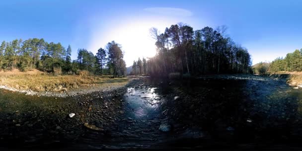 360 VR réalité virtuelle d'une montagne sauvage, pinède et rivière coule. Parc national, prairie et rayons du soleil. — Video