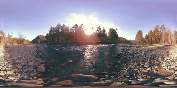 360 VR realidade virtual de uma montanha selvagem, pinhal e fluxos de rio. Parque nacional, prado e raios de sol. — Vídeo de Stock