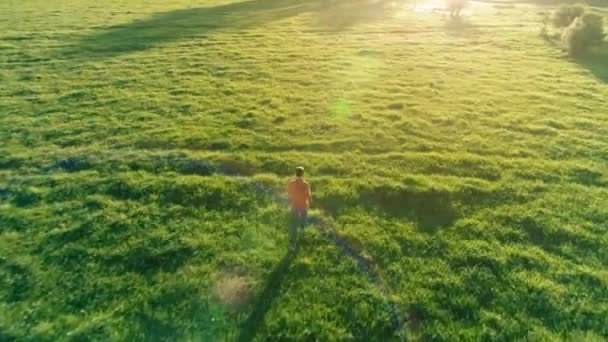 Vuelo sobre el hombre deportivo corriendo en la hierba verde perfecta pradera rural offroad. Puesta de sol en montaña — Vídeo de stock