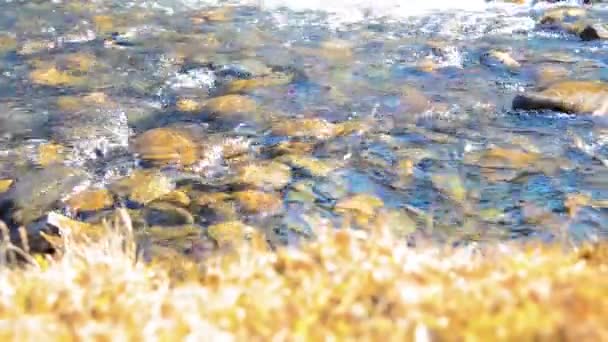 Ползунок Долли с брызгами воды в горной реке возле леса. Влажные камни и солнечные лучи. Горизонтальное устойчивое движение. — стоковое видео