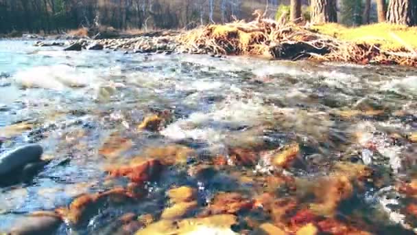 Ormanın Yakınındaki Küçük Bir Dağ Nehrinde Akan Suyun Motorlu Bebek — Stok video