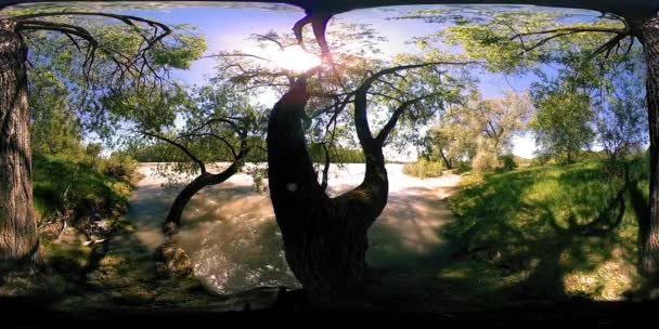 UHD 4K 360 VR La réalité virtuelle d'une rivière coule sur des rochers dans un magnifique paysage de forêt de montagne — Video