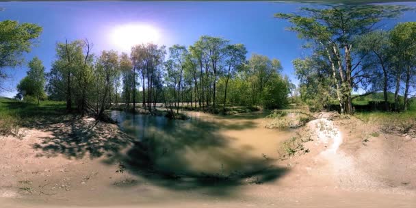 360 Εικονική Πραγματικότητα Ενός Ποταμού Ρέει Πάνω Από Βράχους Αυτή — Αρχείο Βίντεο