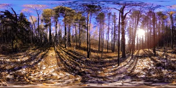 4K 360 - виртуальная реальность красивой горной сцены в осеннее время. Сибирские горы. — стоковое видео