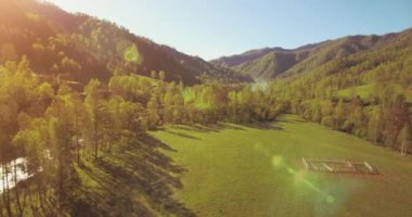 Güneşli yaz sabahında taze dağ nehri ve çayır üzerinde uçuşun ortasında. Aşağıdaki kırsal toprak yol.