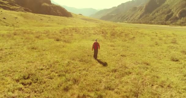 Sırt çantasıyla gezen turist yeşil dağ tarlasında yürüyor. Yaz günü büyük kırsal vadi. — Stok video