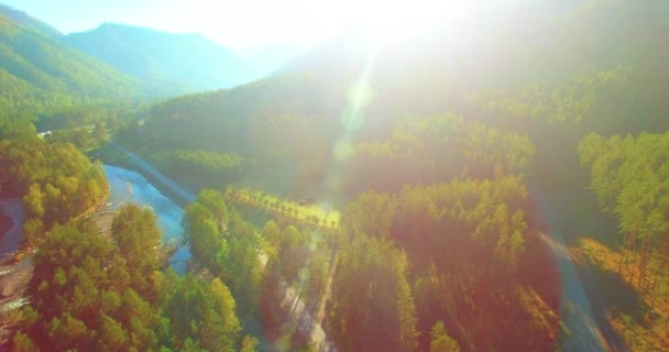 Mittlerer Luftflug über frischem Gebirgsfluss und Wiese am sonnigen Sommermorgen. Schotterpiste unten. — Stockvideo