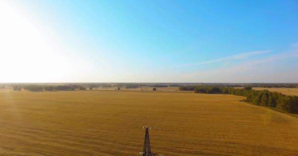 Verticale bewegingsvlucht in de buurt van hoogspanningstoren en hoogspanningsleidingen op groen en geel veld — Stockvideo