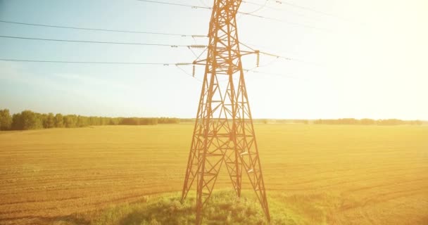 Vuelo de movimiento vertical cerca de la torre de alta tensión y líneas eléctricas en el campo verde y amarillo — Vídeos de Stock