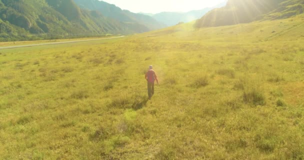 空中4K Uhdビュー 緑の山のフィールドを歩いて若い男の観光客の上に低高度飛行 夏の日に巨大な田舎の谷と日当たりの良い牧草地 リュックハイキング男 — ストック動画