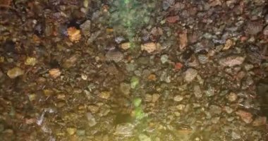 Güneşli yaz sabahında temiz ve taze bir dağ nehri üzerinde uçuşun ortasındayız. Üst görünüm ve yatay hareket