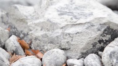 Dolly ormanın yakınındaki bir dağ nehrinde akan suyun kaygan görüntüsü. Islak kayalar ve güneş ışınları. Yatay sabit hareket.