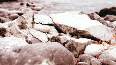 Dolly ormanın yakınındaki bir dağ nehrinde akan suyun kaygan görüntüsü. Islak kayalar ve güneş ışınları. Yatay sabit hareket.