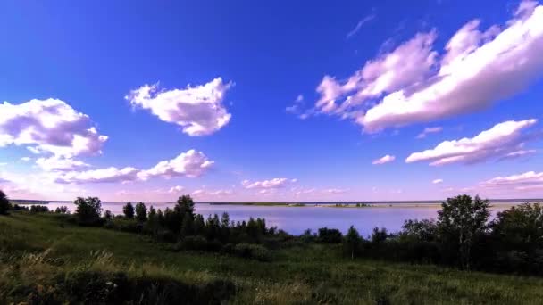 Uhd Ocean Bank Grass Meadow Timelapse Summer Autumn Time Wild — Stock Video