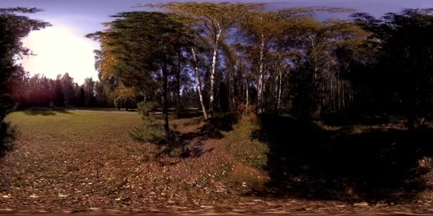 UHD 4K 360 VR Réalité virtuelle d'un parc municipal zone de loisirs. Arbres et herbe verte le jour d'automne ou d'été