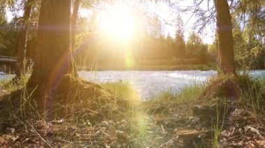 Dağ nehri kıyısındaki çayır. Yeşil çimlerle, çam ağaçlarıyla ve güneş ışınlarıyla kaplı bir manzara. Motorlu kaydırma kulesinde hareket.