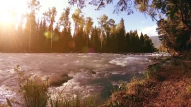 Dağ nehri kıyısındaki çayır. Yeşil çimlerle, çam ağaçlarıyla ve güneş ışınlarıyla kaplı bir manzara. Motorlu kaydırma kulesinde hareket.