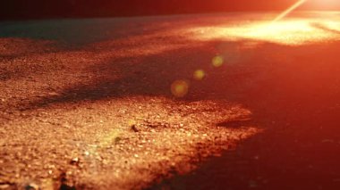 Asfalt yolda koşan sporcu. Kırsal şehir parkı. Yeşil ağaç ormanı ve ufukta güneş ışığı.