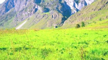 Sırt çantası ile yeşil dağ çayır üzerinde yürüyen adam hiking. Yaz spor ve eğlence kavramı.