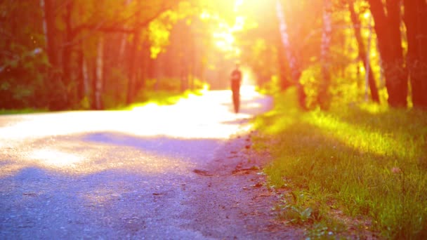 Un sportiv alergând pe drumul asfaltului. Parcul rural. Pădurea verde și razele soarelui la orizont . — Videoclip de stoc