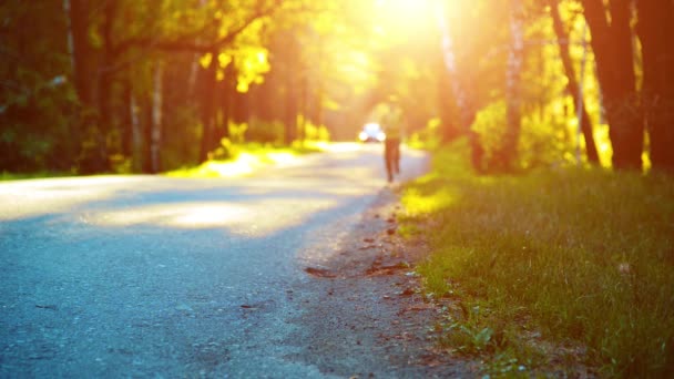 Homme de sport qui court sur la route asphaltée. Parc urbain rural. Forêt d'arbres verts et rayons du soleil à l'horizon. — Video