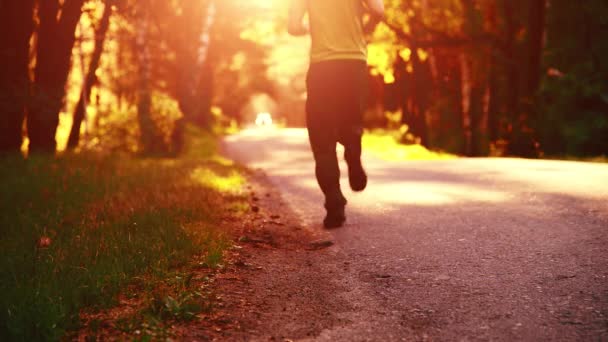 Deportivo corriendo en la carretera de asfalto. Parque rural de la ciudad. Bosque de árboles verdes y rayos de sol en el horizonte. — Vídeo de stock