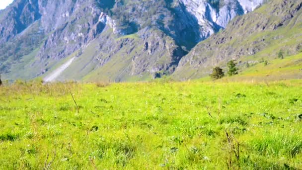 Sırt çantası ile yeşil dağ çayır üzerinde yürüyen adam hiking. Yaz spor ve eğlence kavramı. — Stok video