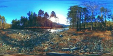 Vahşi dağların, çam ormanlarının ve nehir akışlarının 360 VR sanal gerçekliği. Ulusal park, çayır ve güneş ışınları.
