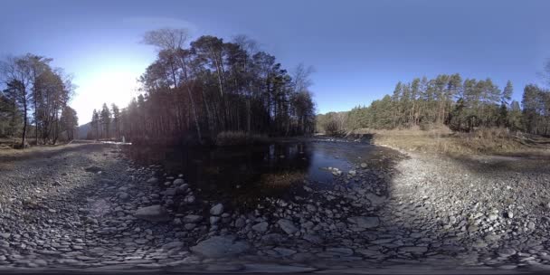 360 VR realidad virtual de montañas salvajes, bosques de pinos y ríos fluye. Parque Nacional, prados y rayos de sol. — Vídeos de Stock