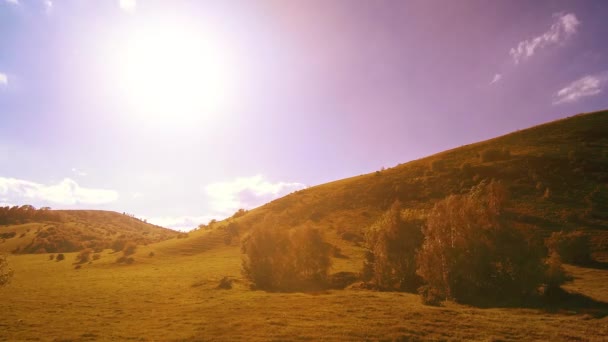 4K UHD montagna prato timelapse durante l'estate. Nuvole, alberi, erba verde e raggi del sole movimento. — Video Stock