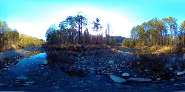 360 VR realtà virtuale di una montagna selvaggia, pineta e fiumi scorre. Parco nazionale, prato e raggi del sole. — Video Stock