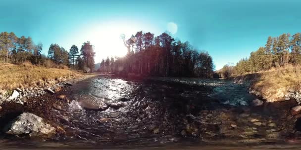 360 VR realidade virtual de uma montanha selvagem, pinhal e fluxos de rio. Parque nacional, prado e raios de sol. — Vídeo de Stock