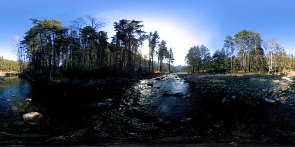 360 VR virtuell verklighet av en vild berg, tallskog och flod strömmar. Nationalpark, ängs- och solstrålar. — Stockvideo