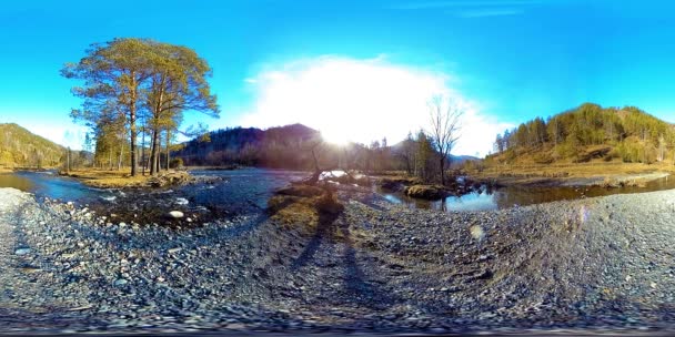 360 VR virtuell verklighet av en vild berg, tallskog och flod strömmar. Nationalpark, ängs- och solstrålar. — Stockvideo