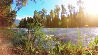 Dağ nehri kıyısındaki çayır. Yeşil çimlerle, çam ağaçlarıyla ve güneş ışınlarıyla kaplı bir manzara. Motorlu kaydırma kulesinde hareket.
