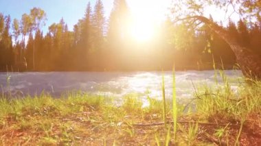 Dağ nehri kıyısındaki çayır. Yeşil çimlerle, çam ağaçlarıyla ve güneş ışınlarıyla kaplı bir manzara. Motorlu kaydırma kulesinde hareket.