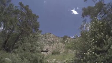 Yazın 4K UHD dağ zaman dilimi. Bulutlar yeşil ağaçları ve güneş ışınlarını hareket ettirir.