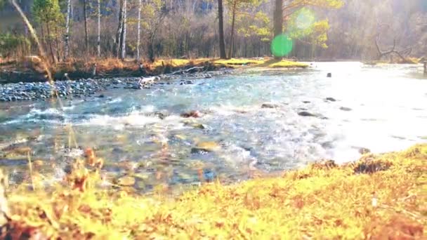 Ползунок Долли с брызгами воды в горной реке возле леса. Влажные камни и солнечные лучи. Горизонтальное устойчивое движение. — стоковое видео