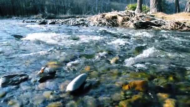 Ползунок Долли с брызгами воды в горной реке возле леса. Влажные камни и солнечные лучи. Горизонтальное устойчивое движение. — стоковое видео