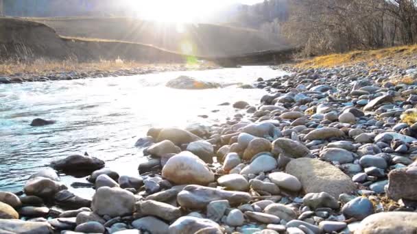 Dolly deslizador de tiro de las salpicaduras de agua en un río de montaña cerca del bosque. Rocas húmedas y rayos de sol. Movimiento horizontal constante. — Vídeos de Stock