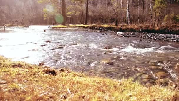 Dolly deslizante tiro da água espirrando em um rio de montanha perto da floresta. Rochas molhadas e raios solares. Movimento horizontal estável. — Vídeo de Stock