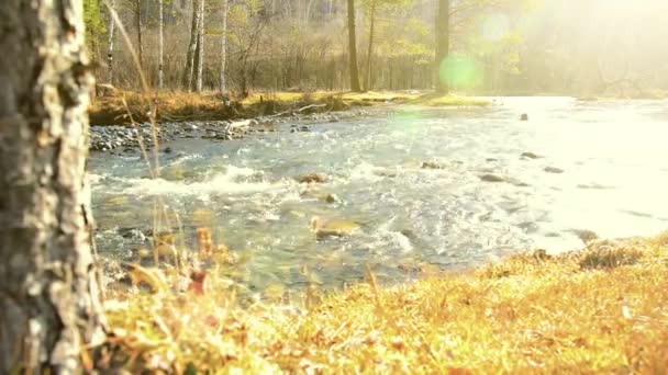 Доллі повзунок знімок бризкаючої води в гірській річці поблизу лісу. Мокрі скелі та сонячні промені. Горизонтальний стійкий рух . — стокове відео