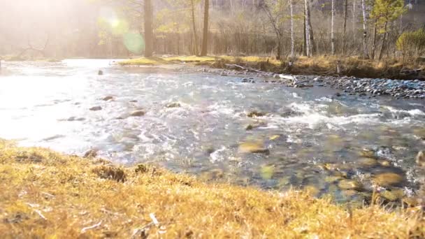 Dolly deslizante tiro da água espirrando em um rio de montanha perto da floresta. Rochas molhadas e raios solares. Movimento horizontal estável. — Vídeo de Stock