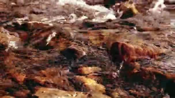 Dolly deslizador de tiro de las salpicaduras de agua en un río de montaña cerca del bosque. Rocas húmedas y rayos de sol. Movimiento horizontal constante. — Vídeo de stock