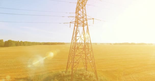 Vuelo de movimiento vertical cerca de la torre de alta tensión y líneas eléctricas en el campo verde y amarillo — Vídeo de stock