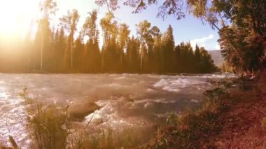 Dağ nehri kıyısındaki çayır. Yeşil çimlerle, çam ağaçlarıyla ve güneş ışınlarıyla kaplı bir manzara. Motorlu kaydırma kulesinde hareket.