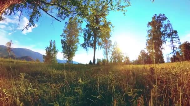 Prairie rurale ensoleillée au paysage de montagne avec herbe verte, arbres et rayons du soleil. Mouvement diagonal sur poupée coulissante motorisée. — Video